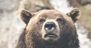 Spring Accessory With Personality